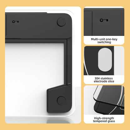 Digital Weight Scale